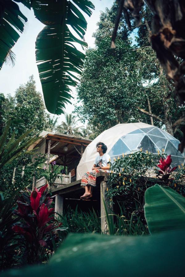 Bali Jungle Camping By Amerta Experience Selemadeg Εξωτερικό φωτογραφία