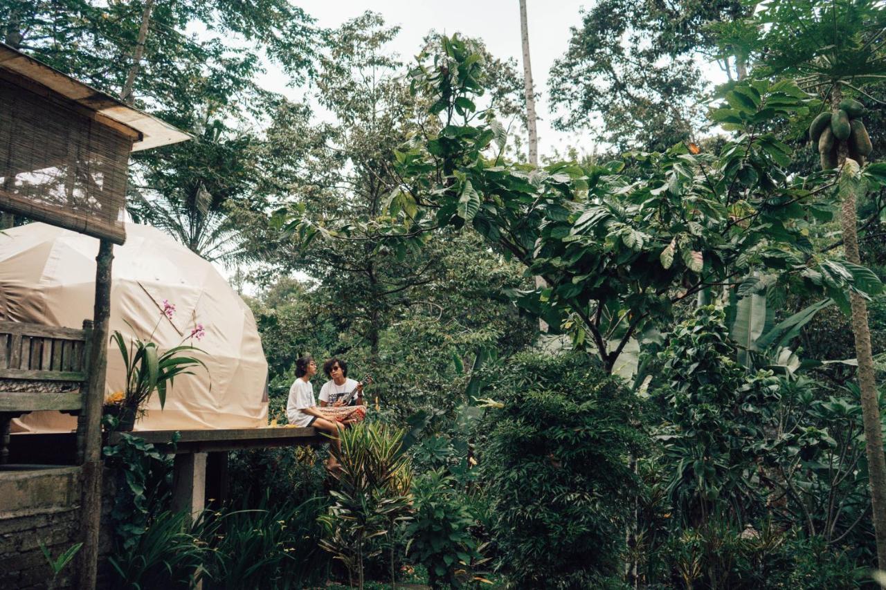 Bali Jungle Camping By Amerta Experience Selemadeg Εξωτερικό φωτογραφία