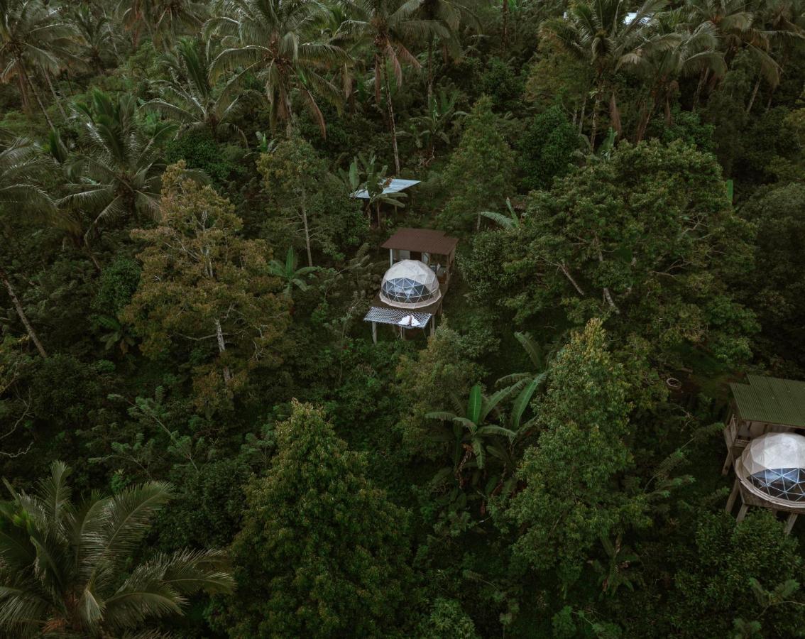 Bali Jungle Camping By Amerta Experience Selemadeg Εξωτερικό φωτογραφία