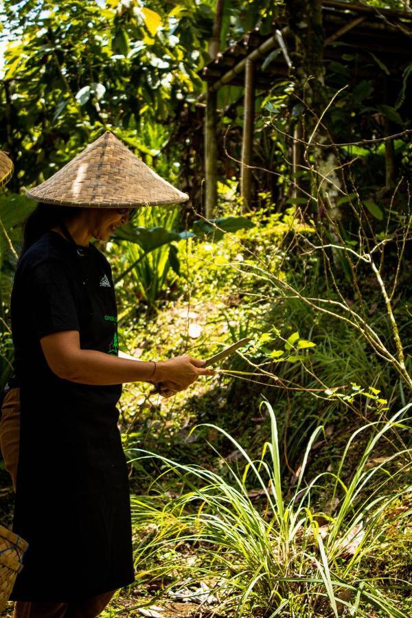 Bali Jungle Camping By Amerta Experience Selemadeg Εξωτερικό φωτογραφία