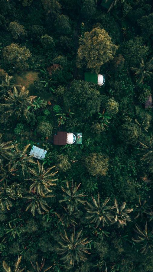 Bali Jungle Camping By Amerta Experience Selemadeg Εξωτερικό φωτογραφία