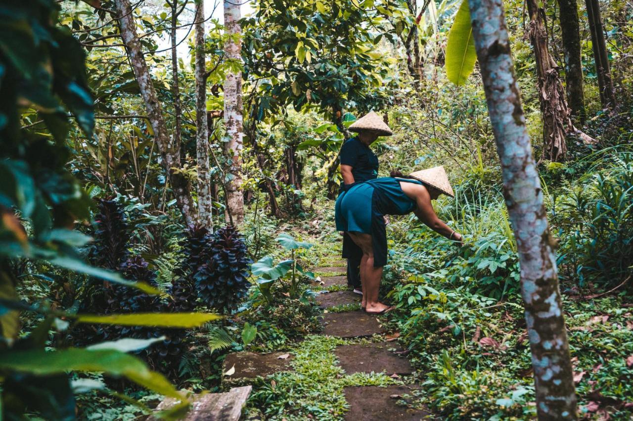 Bali Jungle Camping By Amerta Experience Selemadeg Εξωτερικό φωτογραφία