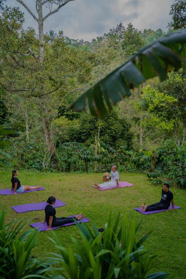 Bali Jungle Camping By Amerta Experience Selemadeg Εξωτερικό φωτογραφία