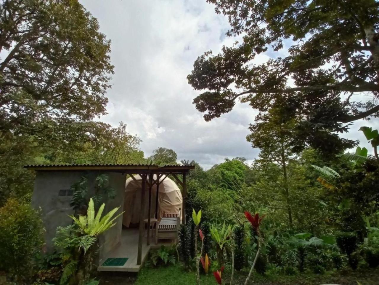 Bali Jungle Camping By Amerta Experience Selemadeg Εξωτερικό φωτογραφία