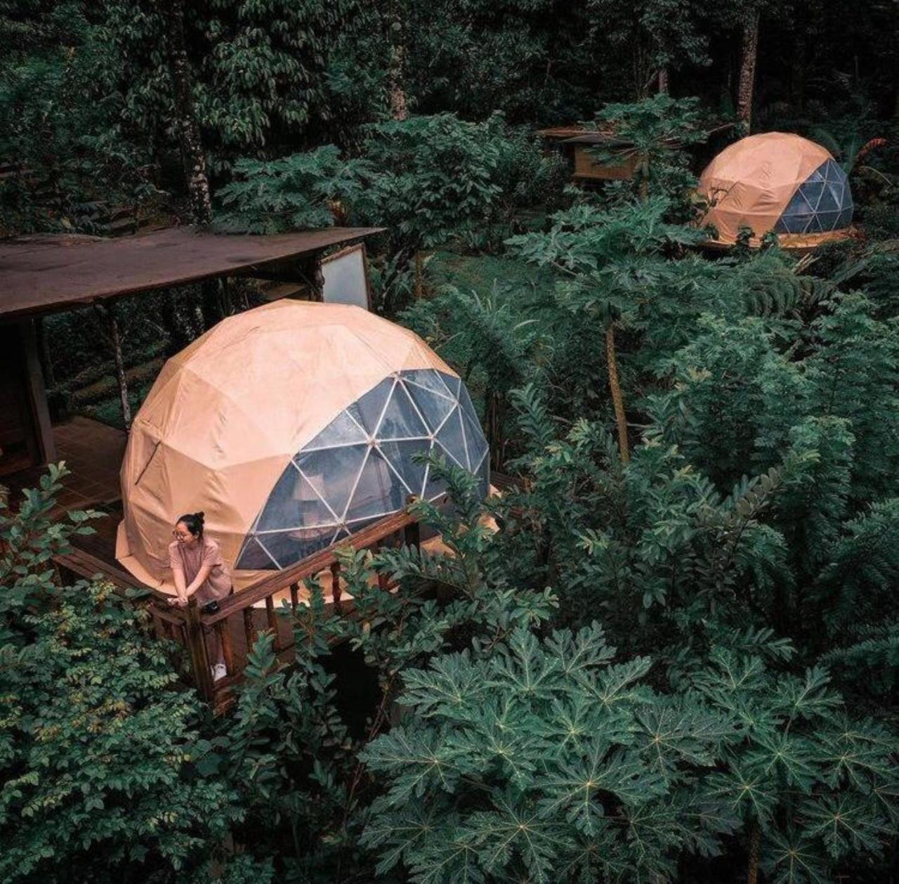 Bali Jungle Camping By Amerta Experience Selemadeg Εξωτερικό φωτογραφία